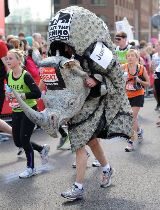 Прикольные картинки (92 фото)