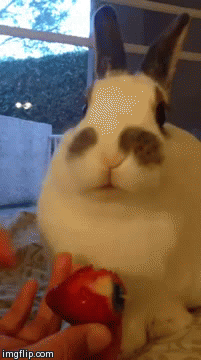 Классные гифки (25 гифок)