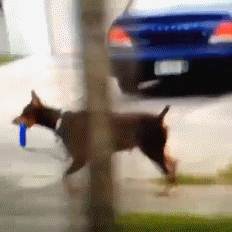 Классные гифки (25 гифок)