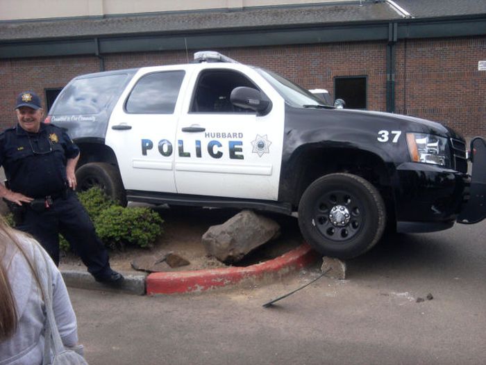 Прикольные картинки (130 фото)