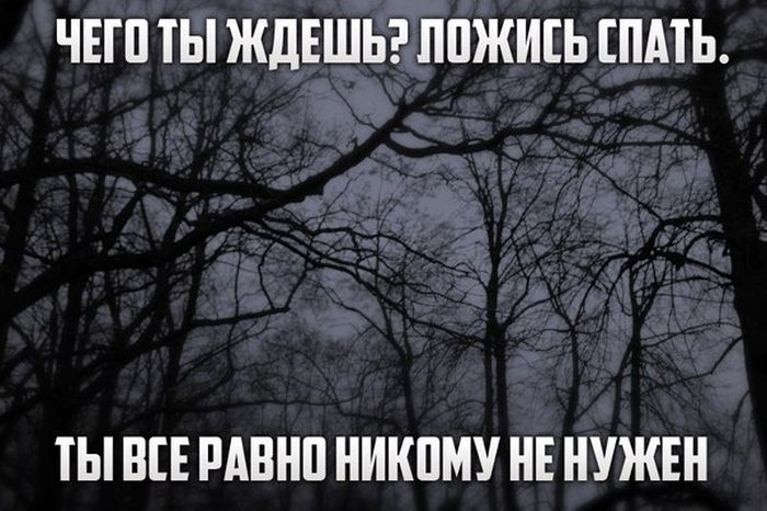 Прикольные картинки (130 фото)