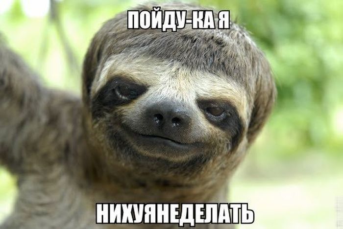 Прикольные картинки (130 фото)