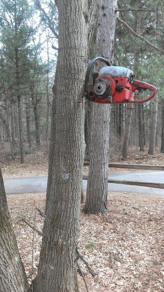 Прикольные картинки (130 фото)