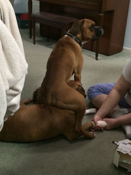 Прикольные картинки (130 фото)