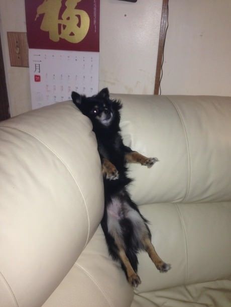 Прикольные картинки (114 фото)