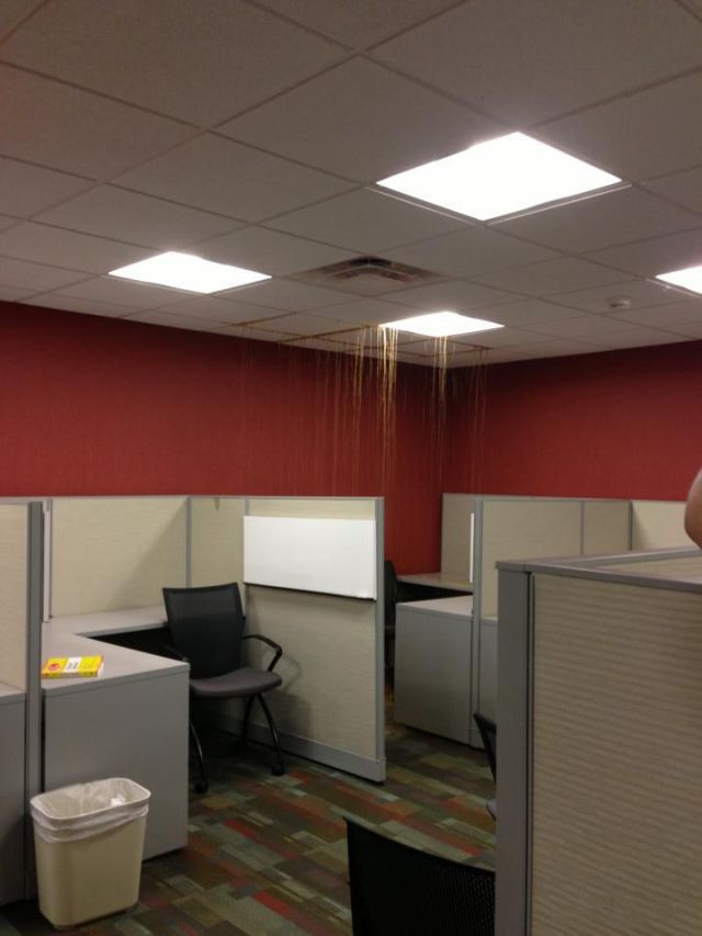 Прикольные картинки (114 фото)