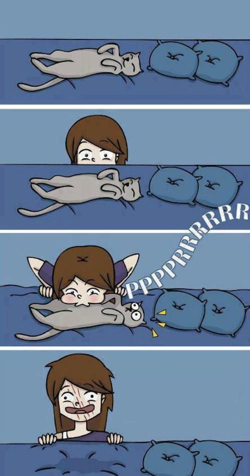 Прикольные картинки (114 фото)