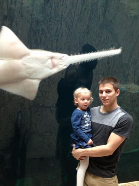 Прикольные картинки (114 фото)