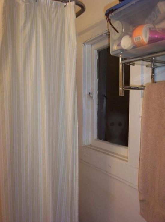 Прикольные картинки (130 фото)