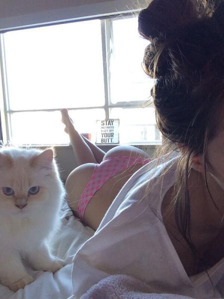 Прикольные картинки (130 фото)