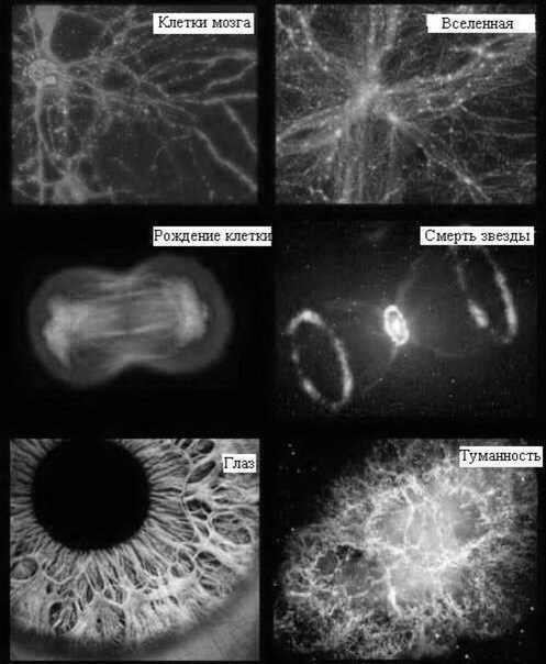 Прикольные картинки (127 фото)