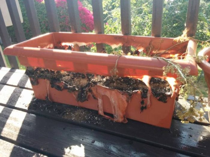 Прикольные картинки (127 фото)