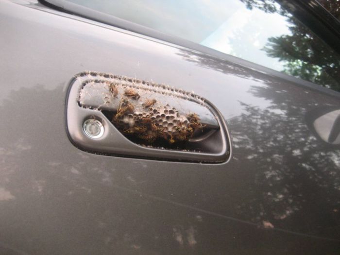 Прикольные картинки (127 фото)