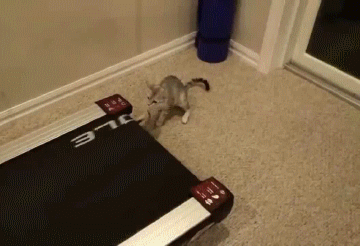 Классные гифки (25 гифок)