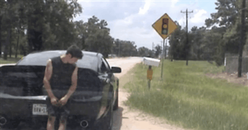 Классные гифки (25 гифок)