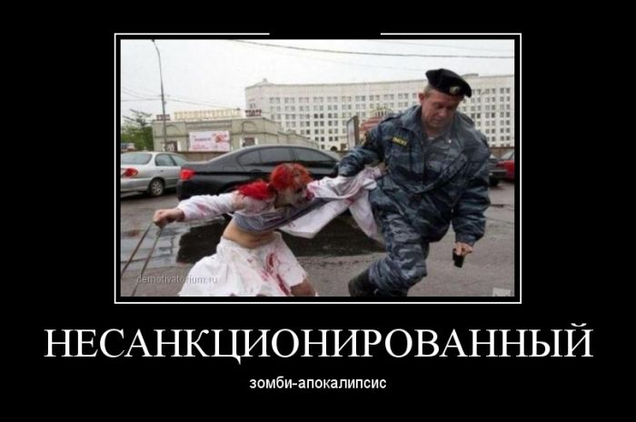 Демотиваторы (30 фото)