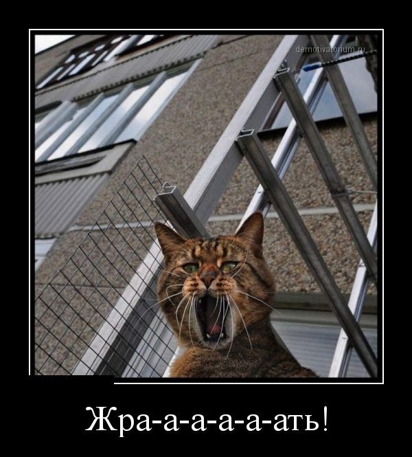 Демотиваторы (30 фото)