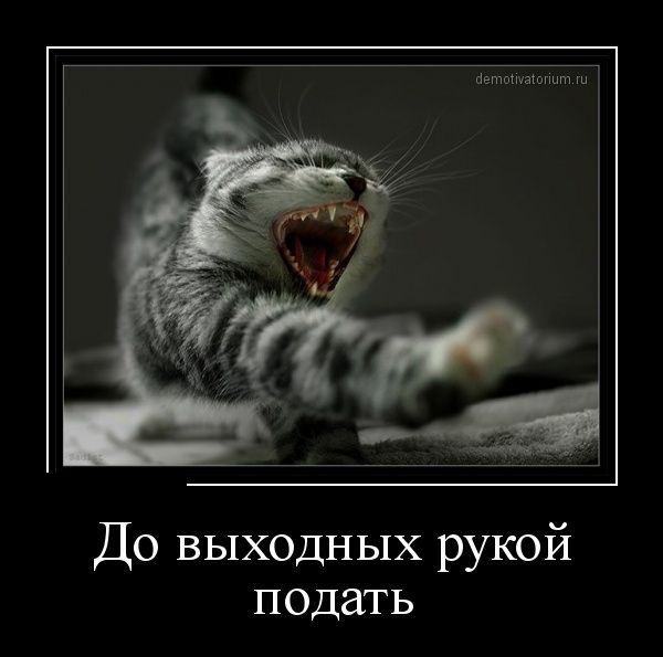 Демотиваторы (30 фото)