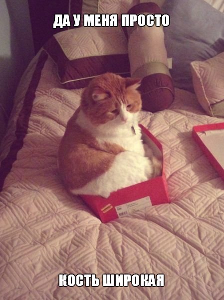 Прикольные картинки (116 фото)