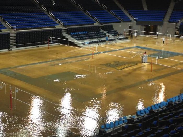 Прикольные картинки (116 фото)