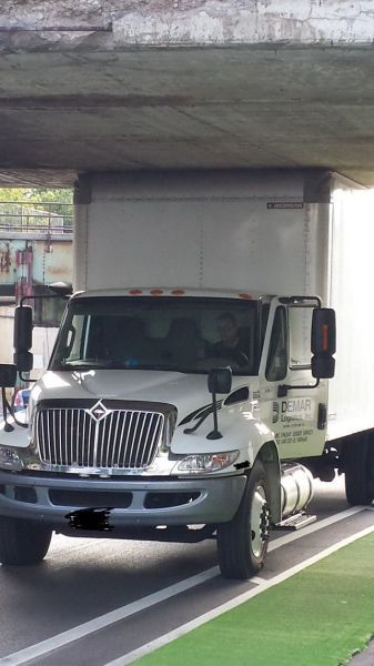 Прикольные картинки (116 фото)