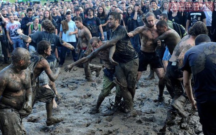 Прикольные картинки (101 фото)