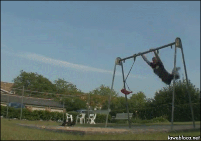 Классные гифки (25 гифок)