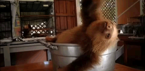 Классные гифки (25 гифок)