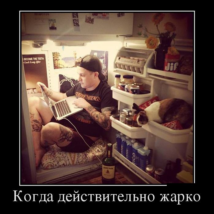 Демотиваторы (30 фото)