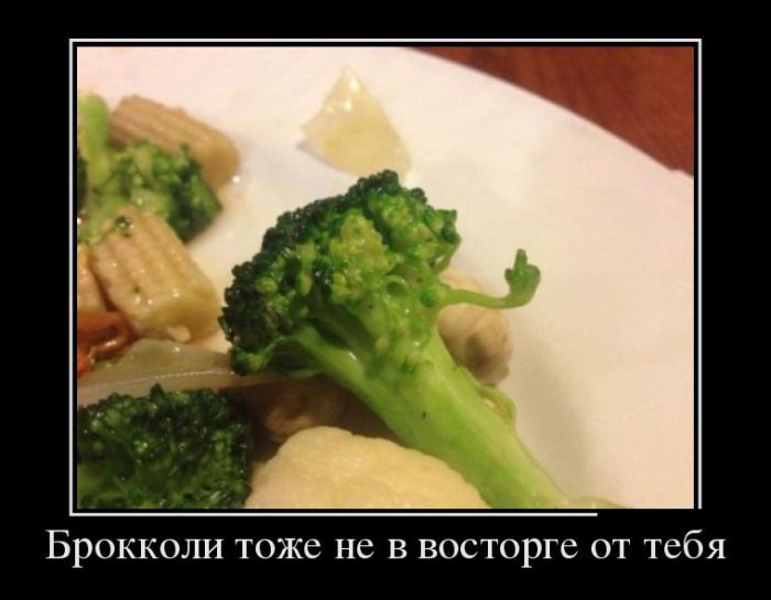 Демотиваторы (30 фото)