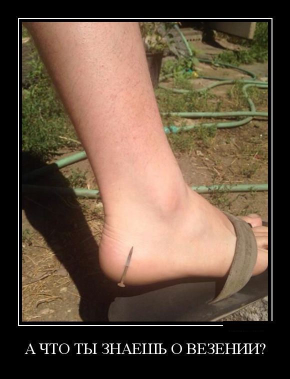 Демотиваторы (30 фото)