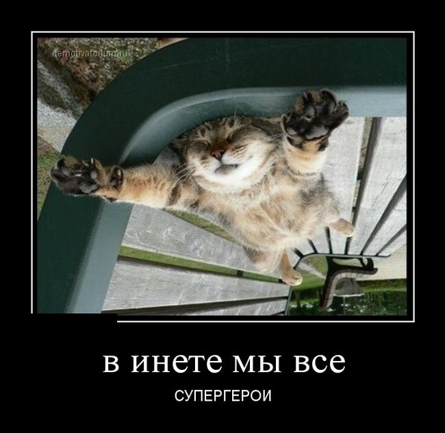 Демотиваторы (30 фото)