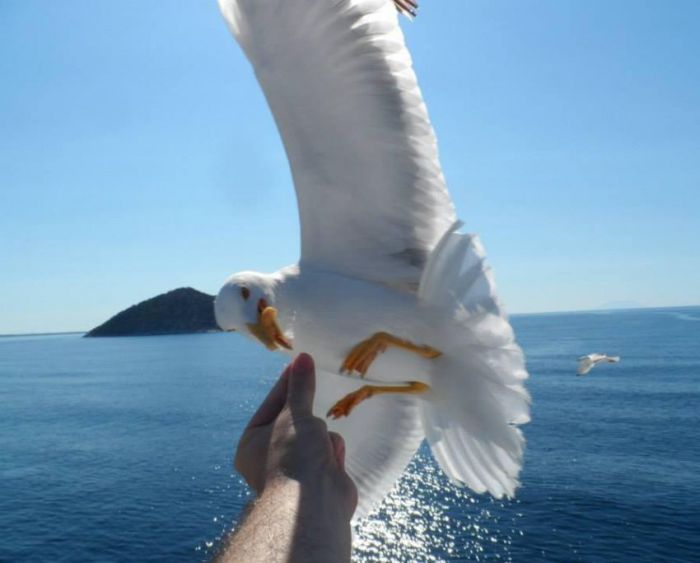 Прикольные картинки (100 фото)