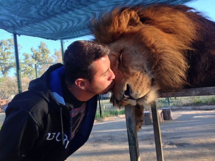 Прикольные картинки (100 фото)