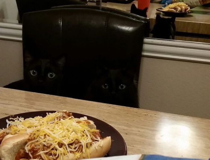 Прикольные картинки (100 фото)