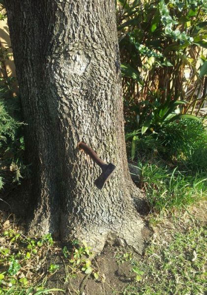 Прикольные картинки (100 фото)