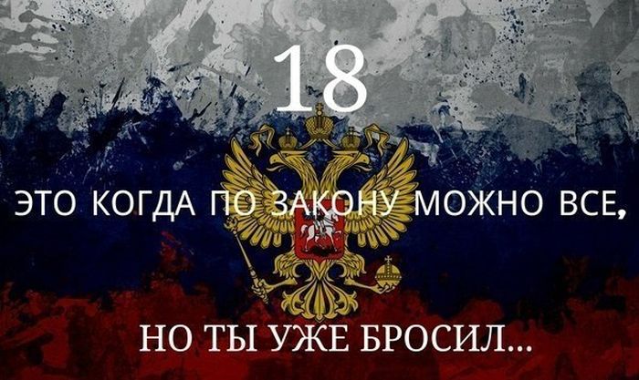 Прикольные картинки (100 фото)