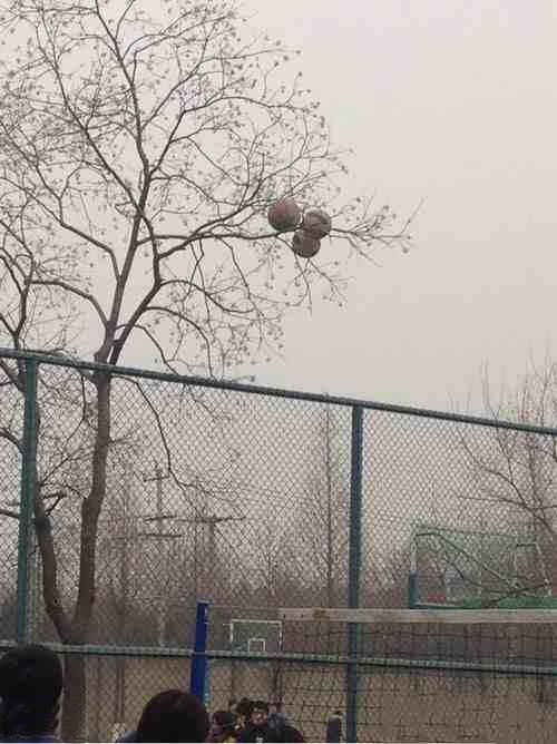 Прикольные картинки (122 фото)