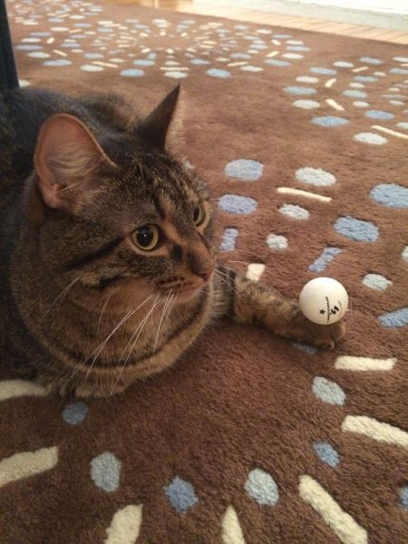 Прикольные картинки (122 фото)