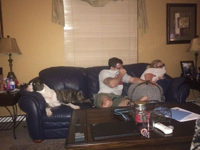 Прикольные картинки (122 фото)