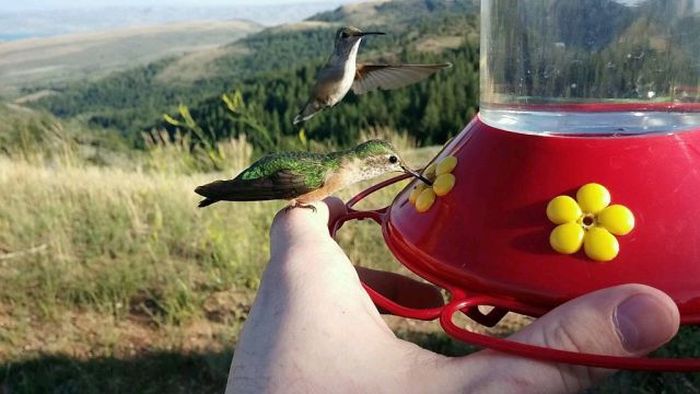 Прикольные картинки (122 фото)