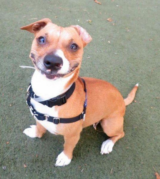 Прикольные картинки (122 фото)