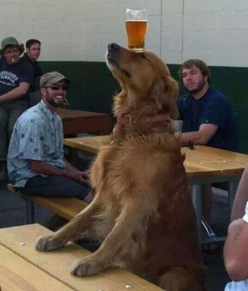 Прикольные картинки (122 фото)