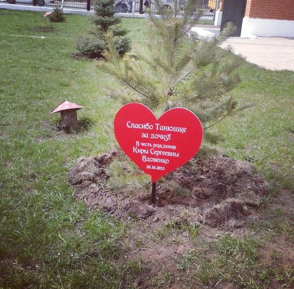 Прикольные картинки (122 фото)