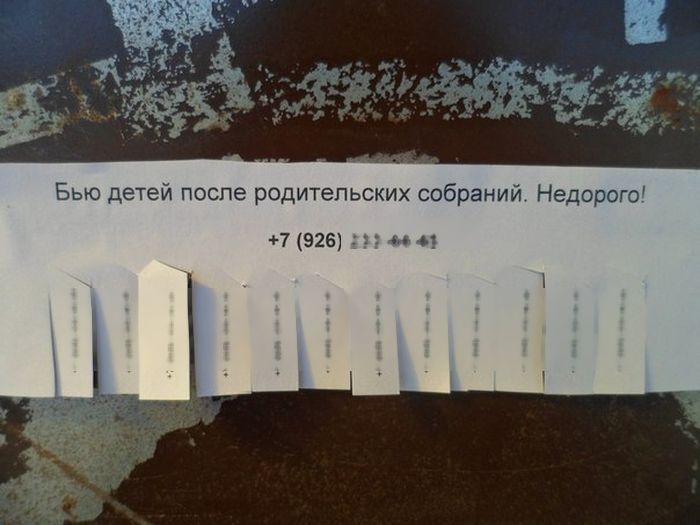 Прикольные картинки (101 фото)