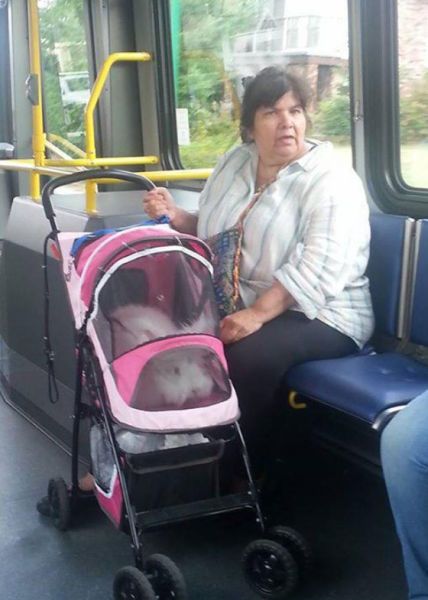 Прикольные картинки (101 фото)