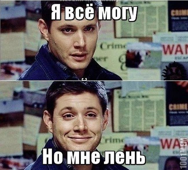 Прикольные картинки (101 фото)