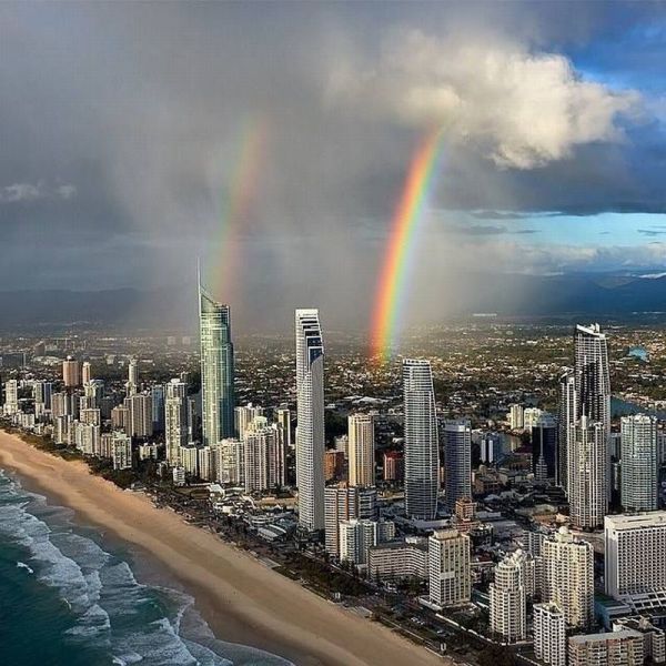 Прикольные картинки (101 фото)