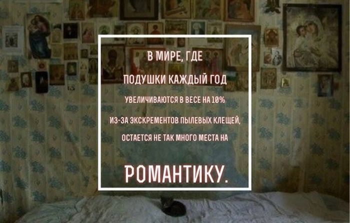 Прикольные картинки (103 фото)