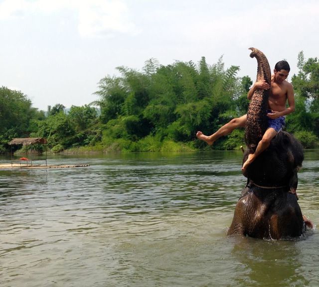 Прикольные картинки (103 фото)